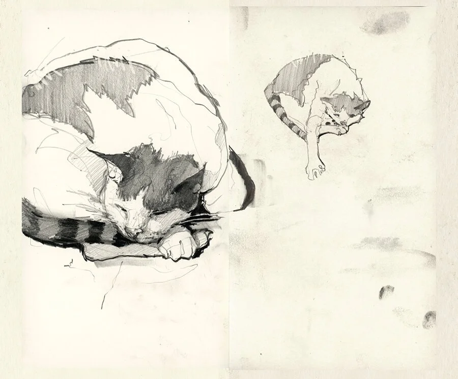 MANN vol. 2.7 The Sketchbooks II — Jeremy Mann